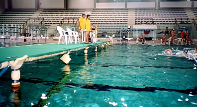 arbitri.jpg (111791 byte)
